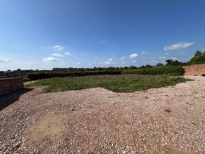 Photo 24- click for photo gallery